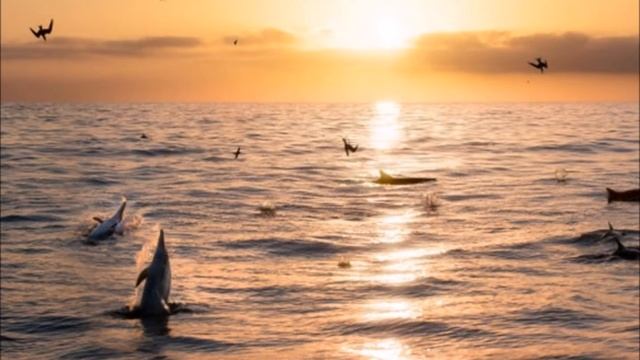 В начале сотворил Бог небо и землю. смотреть онлайн