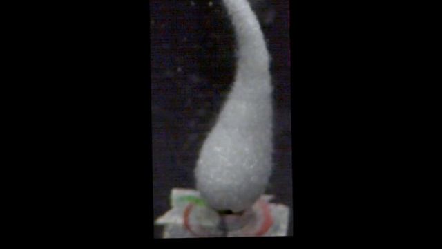 Exploding Prince Rupert's Drops at 1 000 000 Frames Per Second!! смотреть онлайн