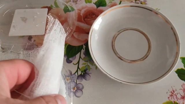 КАК ВЫРАСТИТЬ ЛИМОН ДОМА смотреть онлайн