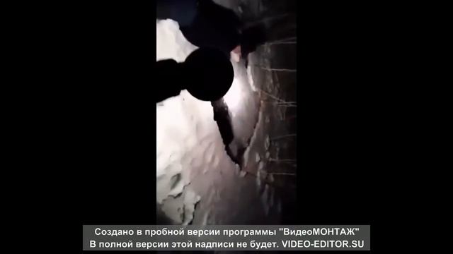 #рыбалка #fishing #сазан #экран #огромнаярыба # КОСЫНКА как надо ловить рыбу руками смотреть онлайн