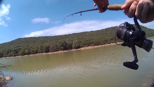 pêche de la carpe 9 : carpeaux à l'anglaise HD смотреть онлайн