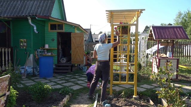 6 соток 31 мая 2024 года. Хроника.