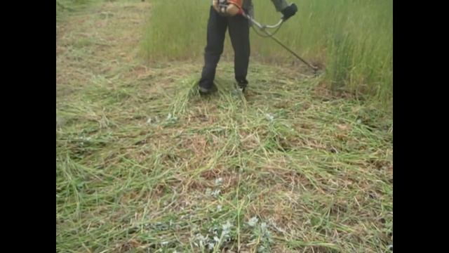 Косим триммером с диском.Видео.Триммер Лидер !!!