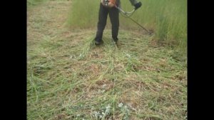Косим триммером с диском.Видео.Триммер Лидер !!!