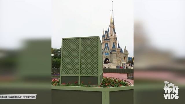 Top 10 BEST Walt Disney World Secrets | Magic Kingdom Secrets & Facts смотреть онлайн