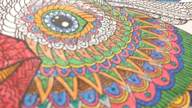 Антистрессовые раскраски. Раскрашиваю попугая🎨 смотреть онлайн