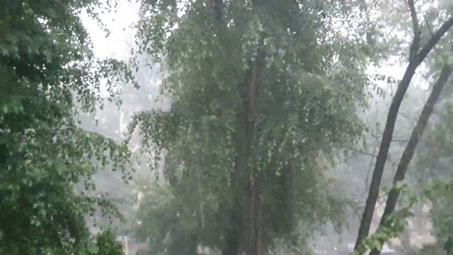 А в Минске субботний ливень: дома напротив не видно...