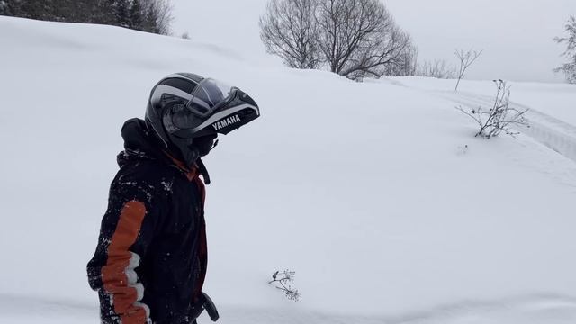 СТЕЛС СТАВР 600  или ЯМАХА ВИКИНГ 540?