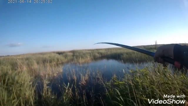 Ловля карася на поплавок в камышах, рыбалка летом на удочку смотреть онлайн