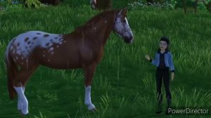 Мой день на конюшне! Star Stable Online