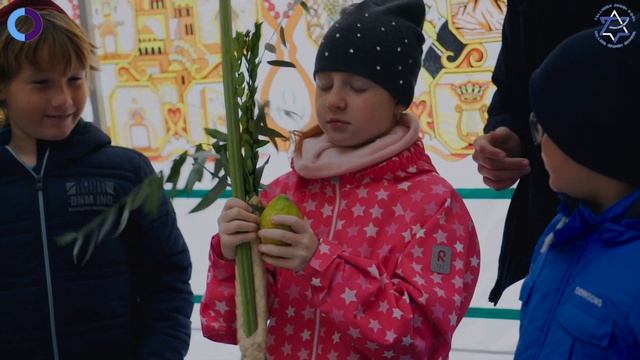 Sukkot 2022 смотреть онлайн