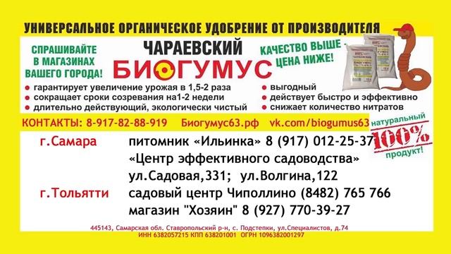Качественные составляющие для грунта. Дачные сезоны смотреть онлайн