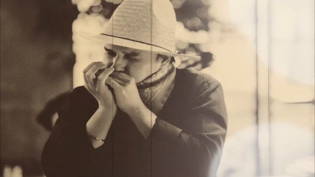 Silent Night - Franz X. Gruber - Christmas Song (Harmonica) смотреть онлайн