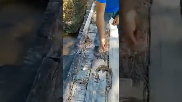 Рыбалка на рогатку смотреть онлайн