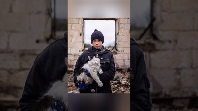 Стихотворение "Мальчик и кот старик". смотреть онлайн