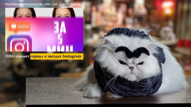 КОТОКРИТИК #9: Игра Престолов, Звезды Instagram и Дэдпул смотреть онлайн