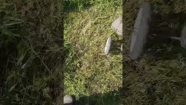 Ставим бензиновый триммер на колеса!