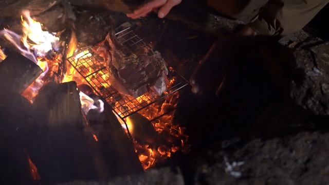 2 days solo in the chestnut forest in a 50 years old abandoned stone cottage.Found a powerful puppy смотреть онлайн