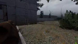 я подарю тебе тюльпаны