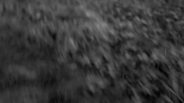 Le Rien - A short film by George Higgins & Luigi Musa-Baldo смотреть онлайн