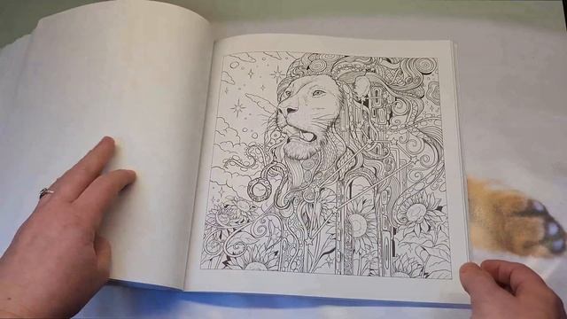Обзор Mythografhic - Cosmic Spirit/Fabiana Attanasio//Раскраски антистресс смотреть онлайн