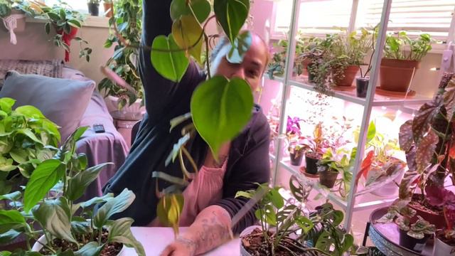 Easy plants for beginners! смотреть онлайн