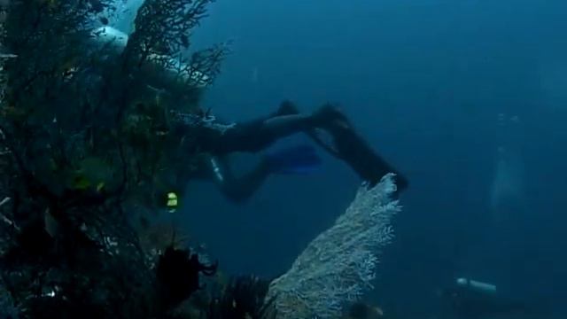 Бали: два! смотреть онлайн