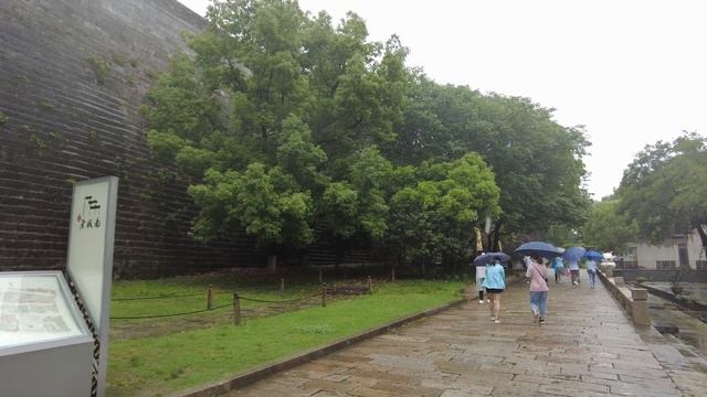 Пошемашим под дождем. Город НАНКИН смотреть онлайн