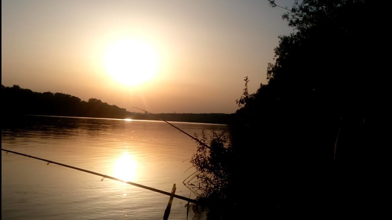 Фидер в МАЕ. Отличный УЛОВ. Ночная рыбалка в конце весны. смотреть онлайн