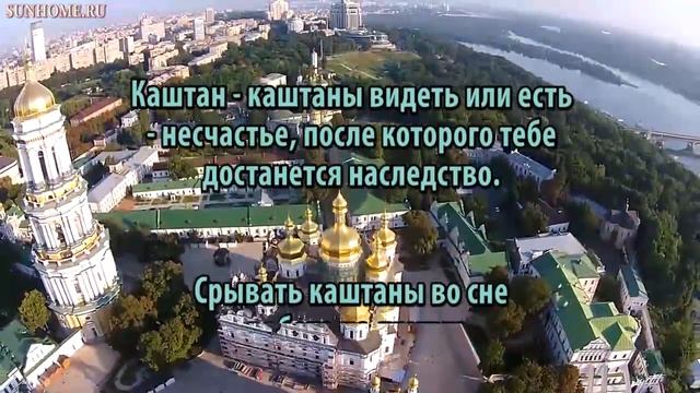 К чему снится Каштан сонник, толкование сна смотреть онлайн