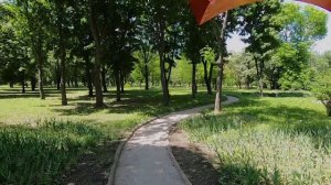 Кропивницкий  / Кировоград