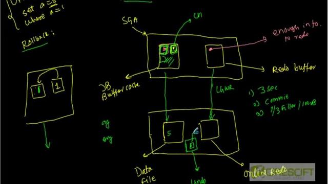 SCPT 42 : What is redo and undo in Oracle смотреть онлайн