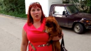 Ньюфаундленд угрожает человеку