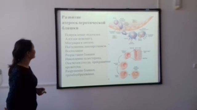 Сердечно-сосудистая система. Формула Кердо. Измерение давления. смотреть онлайн