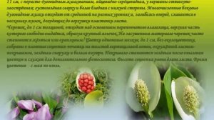 Красная книга Московской области