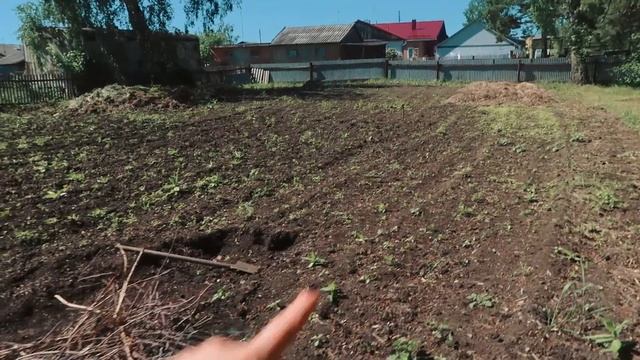 Что такое ТОГУЧИН? смотреть онлайн