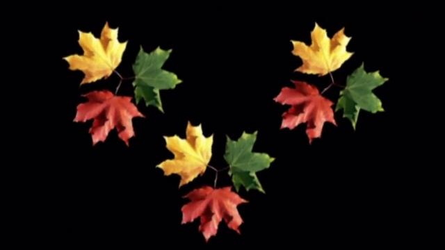 СТАРЫЙ ВАЛЬСОК.mpg (автор Ольга Вайсман) смотреть онлайн