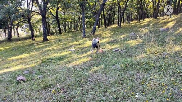 Испытания самолёта, это очень крутой самолётик.