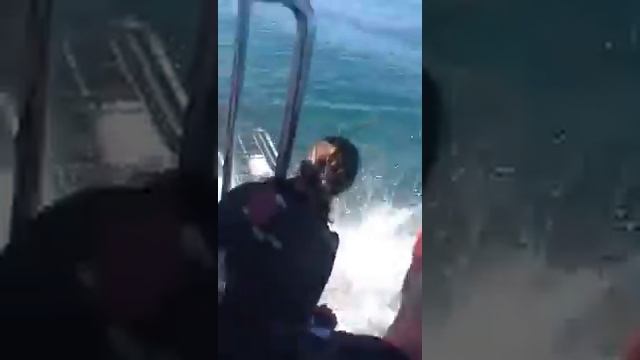 Большая белая акула чуть не съела человека смотреть онлайн