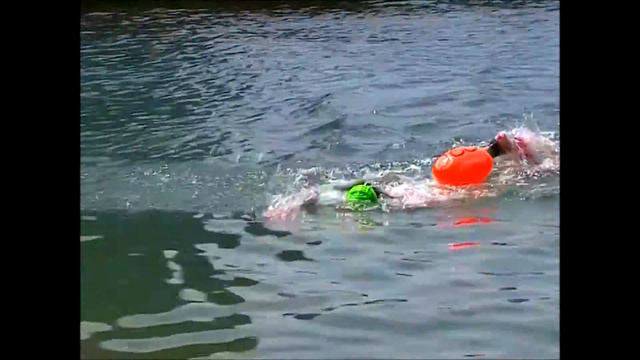 GV GOLD GEOLOGY марафон владик японское море геологический спорт смотреть онлайн