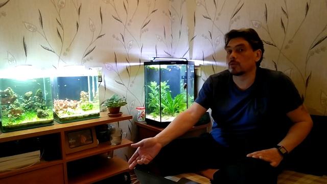 Приоритеты: рыбы, растения, креветки. смотреть онлайн