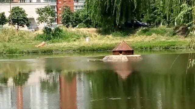 Звучания флейты/Flute Sounds