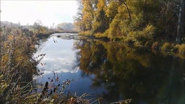 Рыбалка на речке Тавровка, съёмка 17.10.2021 смотреть онлайн