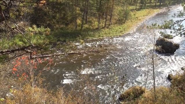 Тотальное уничтожение всех новообразований   Для мужчин и женщин
