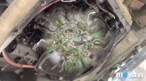 Замена масла акпп toyota probox 1nz