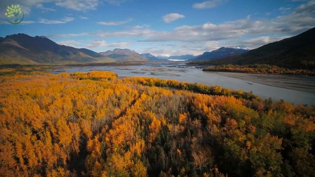 Расслабляющая спокойная музыка для учебы, работы, медитации и лечения смотреть онлайн