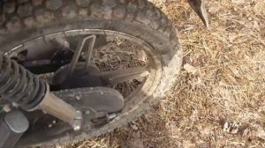 Небольшое путешествие на мопеде Альфа RX.