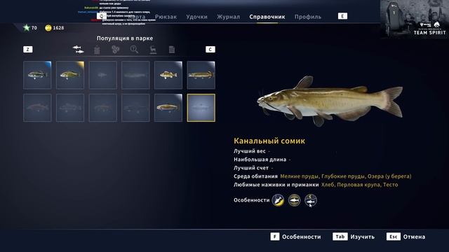 Call of the Wild: The Angler *ПЕРВЫЙ ВЗГЛЯД* (Стрим от 07.09.2022) смотреть онлайн