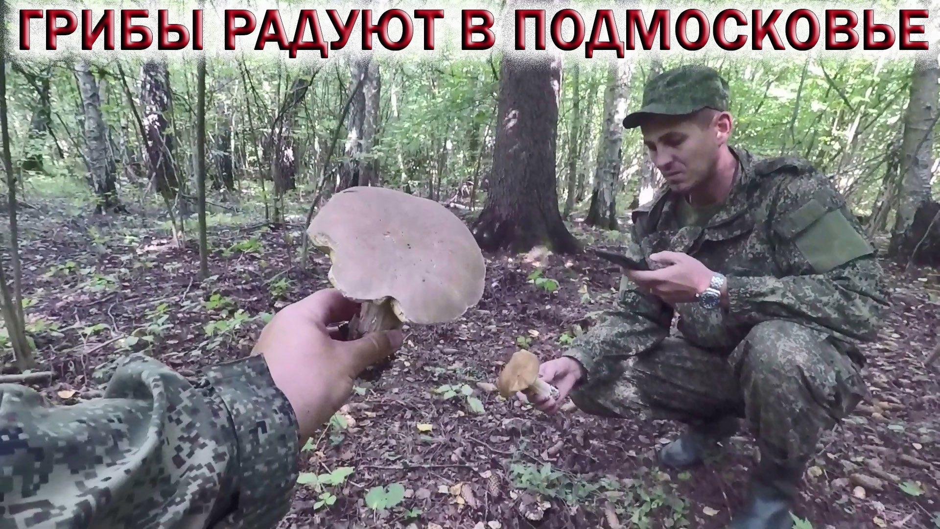 ?БЕЛЫЕ ГРИБЫ, ЛЕТНИЕ ОПЯТА, ПОДОСИНОВИКИ, ЛИСИЧКИ?В ЛЕСАХ ПОДМОСКОВЬЯ.?МОРЕ ВАЛУЁВ. Грибы 2022 смотреть онлайн