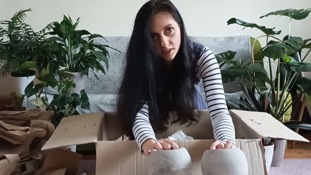 Roślinki Gosi - Plant Haul - Unboxing paczki z @ZIELONYPARAPET - Black Friday - Gosia i Miłosz смотреть онлайн